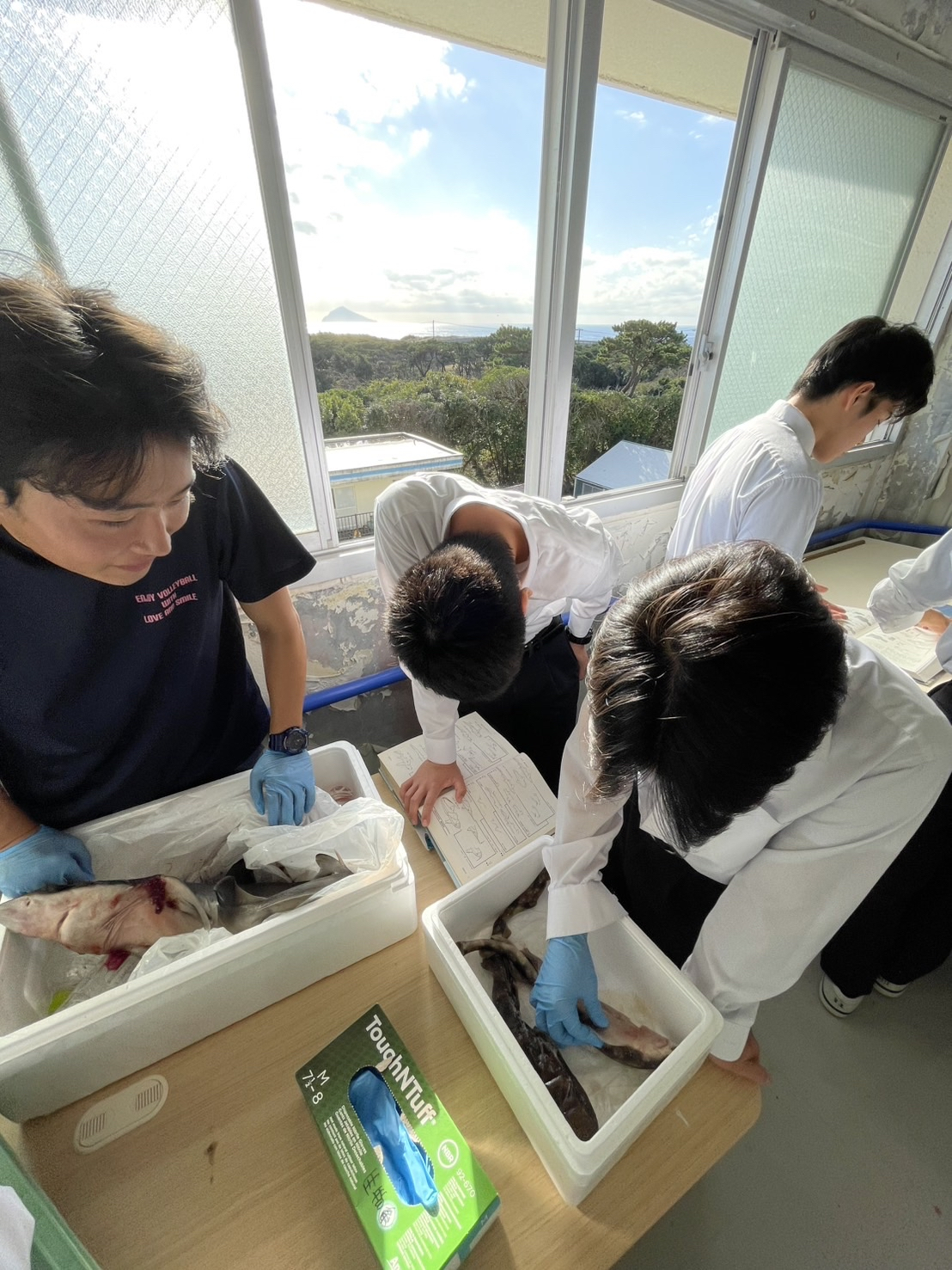 Image - 2025-12-01T173114.966